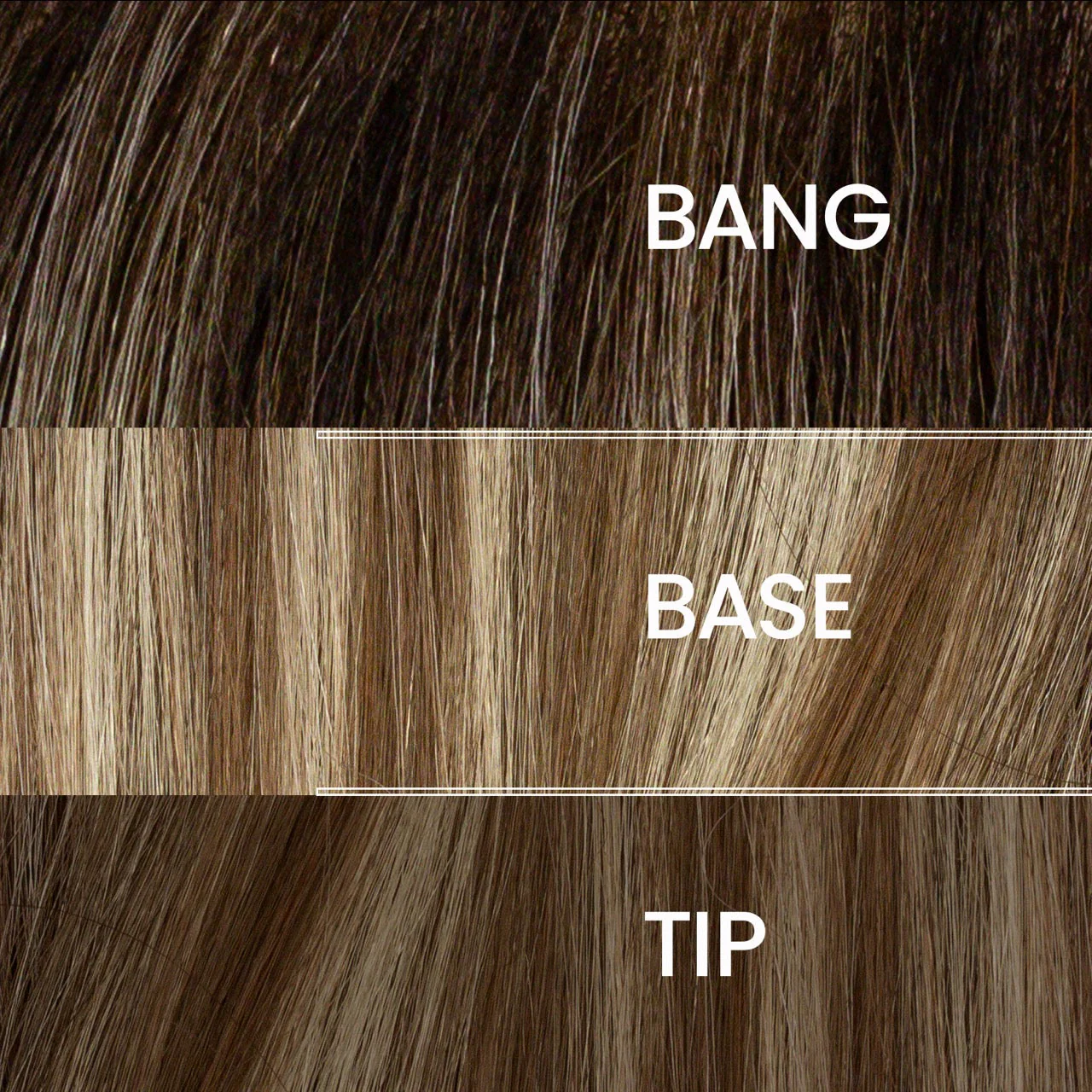 Thumbnail 19